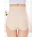 Plus Size Ice Silk Seamless High Waisted Full Hip Briefs