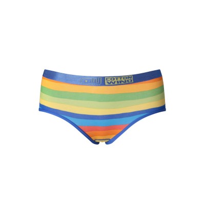 Cotton Rainbow Stripe Printed Low Waisted Briefs